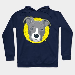 Pitbull Hoodie